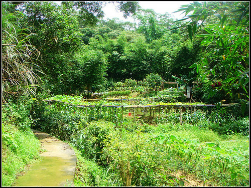 麗山橋口步道 (14).jpg