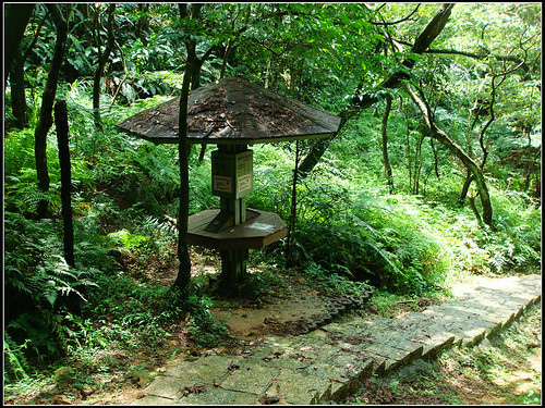 麗山橋口步道 (18).jpg