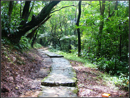 麗山橋口步道 (25).jpg