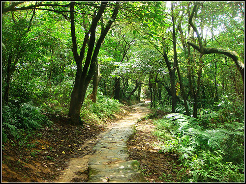 麗山橋口步道 (26).jpg