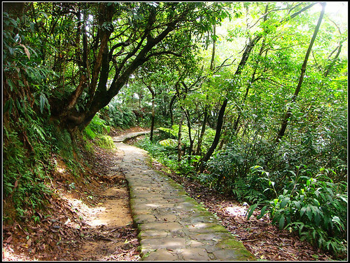 麗山橋口步道 (27).jpg