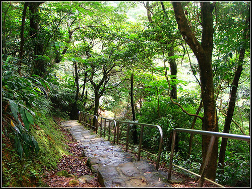 麗山橋口步道 (28).jpg