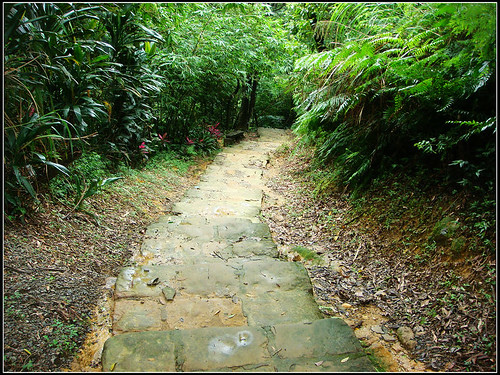 麗山橋口步道 (33).jpg