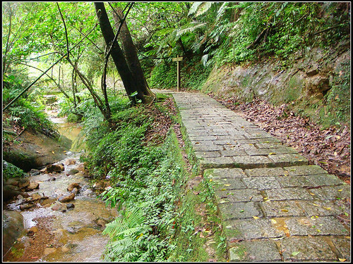 麗山橋口步道 (34).jpg