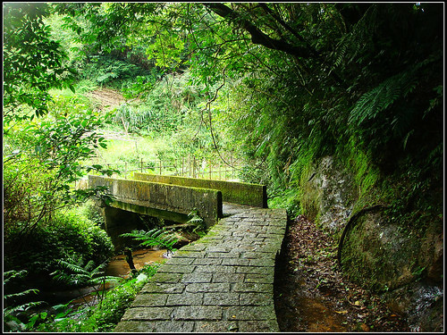 麗山橋口步道 (35).jpg