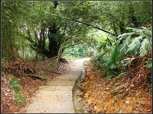 麗山橋口步道 (43).jpg