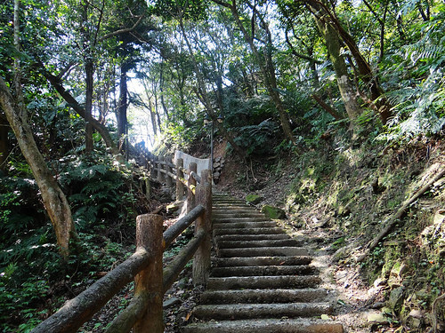 泰安瀑布旗尾崙姜子寮百福公園 (2).jpg