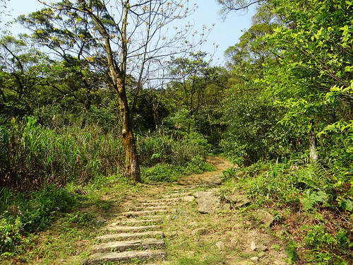 泰安瀑布旗尾崙姜子寮百福公園 (7).jpg