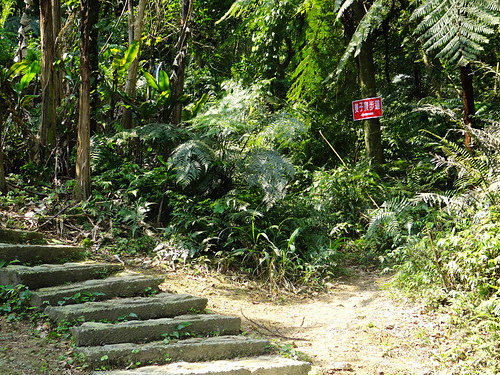 泰安瀑布旗尾崙姜子寮百福公園 (9).jpg