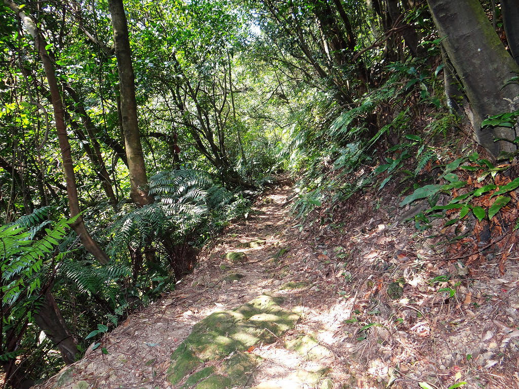 泰安瀑布旗尾崙姜子寮百福公園 (10).jpg