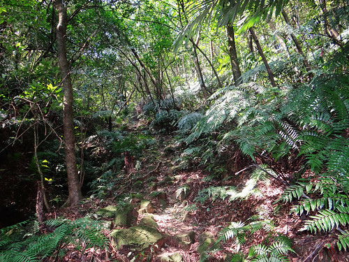 泰安瀑布旗尾崙姜子寮百福公園 (11).jpg