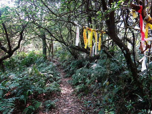 泰安瀑布旗尾崙姜子寮百福公園 (27).jpg