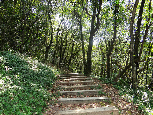 泰安瀑布旗尾崙姜子寮百福公園 (31).jpg