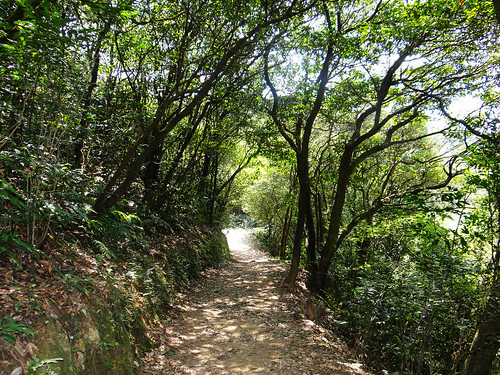 泰安瀑布旗尾崙姜子寮百福公園 (32).jpg