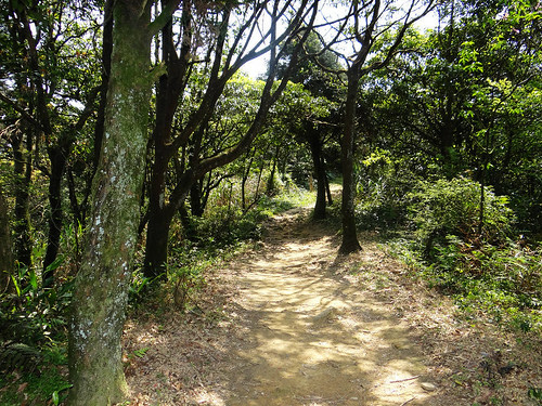 泰安瀑布旗尾崙姜子寮百福公園 (36).jpg