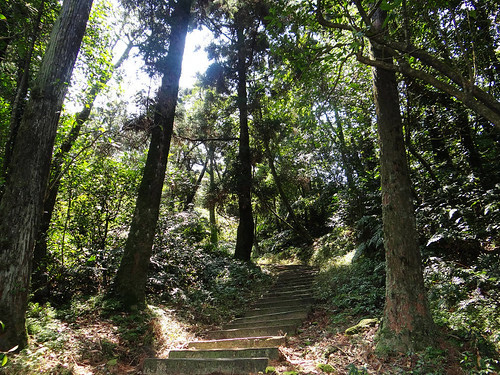 泰安瀑布旗尾崙姜子寮百福公園 (37).jpg