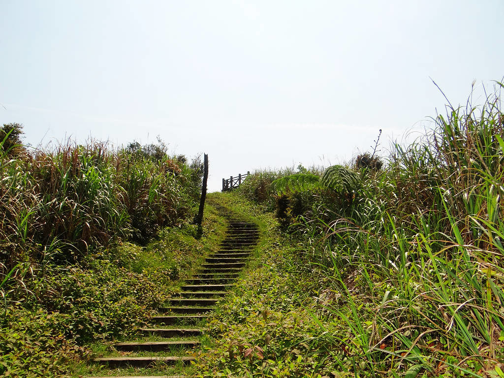 泰安瀑布旗尾崙姜子寮百福公園 (39).jpg