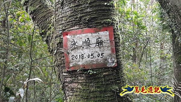 嶺腳車站至柴橋坑山、姜南山縱走去回 (12).jpg