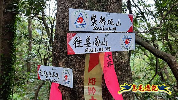 嶺腳車站至柴橋坑山、姜南山縱走去回 (16).jpg