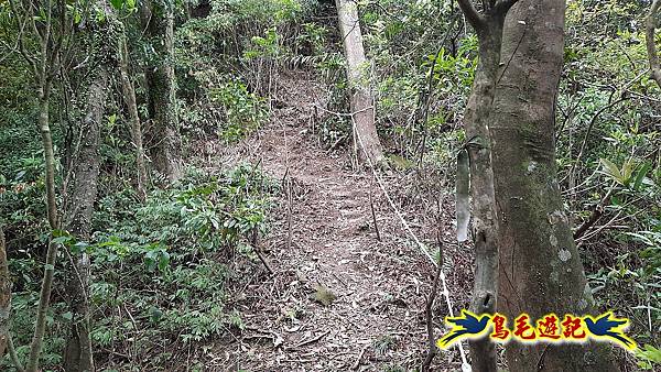 嶺腳車站至柴橋坑山、姜南山縱走去回 (17).jpg