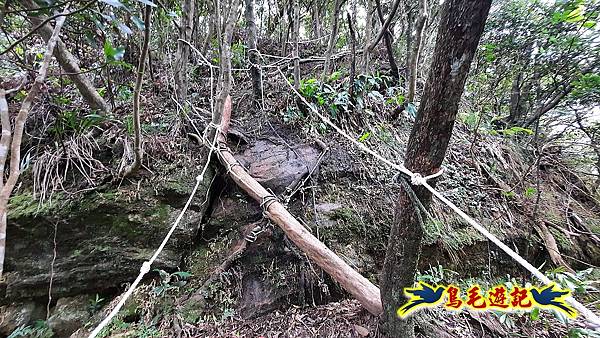 嶺腳車站至柴橋坑山、姜南山縱走去回 (21).jpg