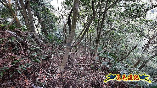 嶺腳車站至柴橋坑山、姜南山縱走去回 (22).jpg