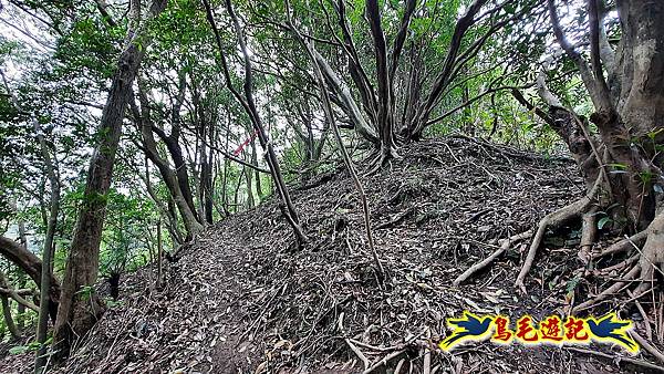 嶺腳車站至柴橋坑山、姜南山縱走去回 (24).jpg