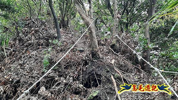 嶺腳車站至柴橋坑山、姜南山縱走去回 (26).jpg