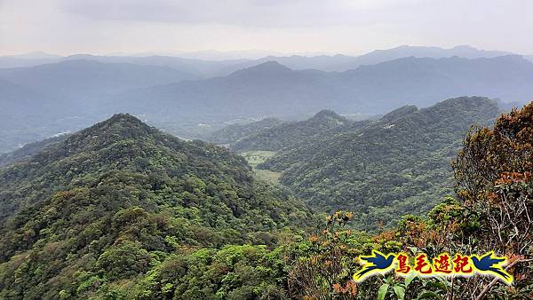 嶺腳車站至柴橋坑山、姜南山縱走去回 (34).jpg