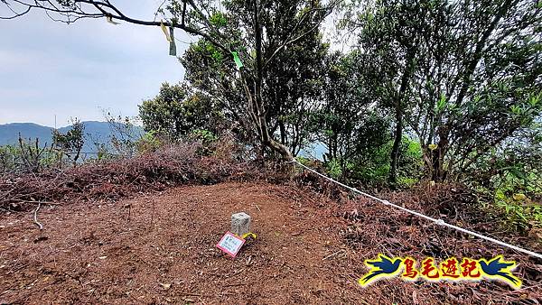 嶺腳車站至柴橋坑山、姜南山縱走去回 (44).jpg