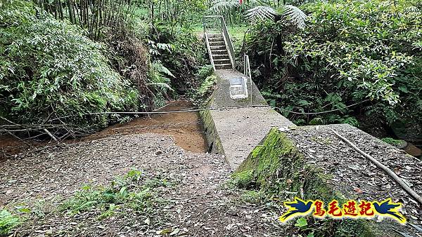 嶺腳車站至柴橋坑山、姜南山縱走去回 (46).jpg