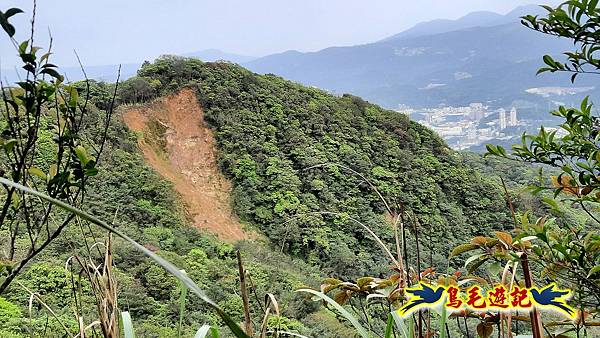 磐石嶺-石硿大崙-姜子寮山-中窯尖-溪畔古道-嶺腳車站 (14).jpg