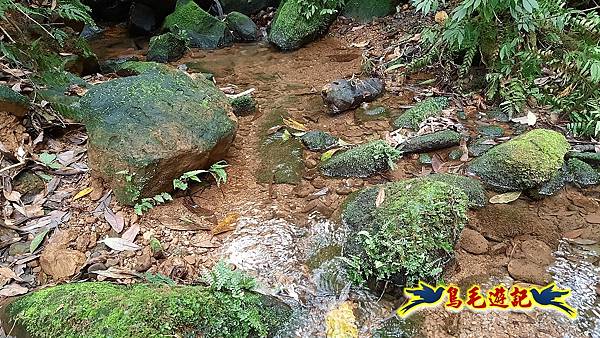 磐石嶺-石硿大崙-姜子寮山-中窯尖-溪畔古道-嶺腳車站 (50).jpg