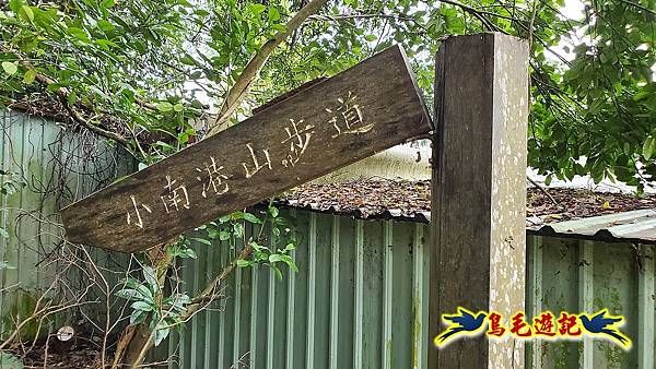 小南港山桐花步道 (29).jpg