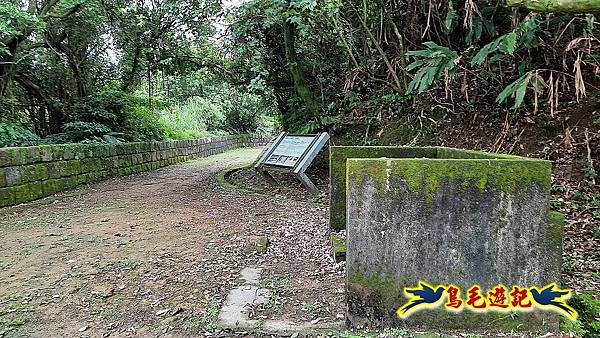 四腳亭砲台·桐花步道 (27).jpg