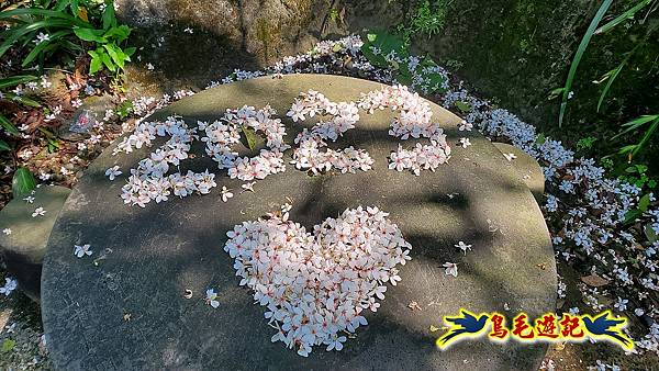 汐止內溝山步道(內溝山-油桐嶺-內溝山北峰-老鷲尖山-老鷲尖山南峰-翠湖O形) (1).jpg