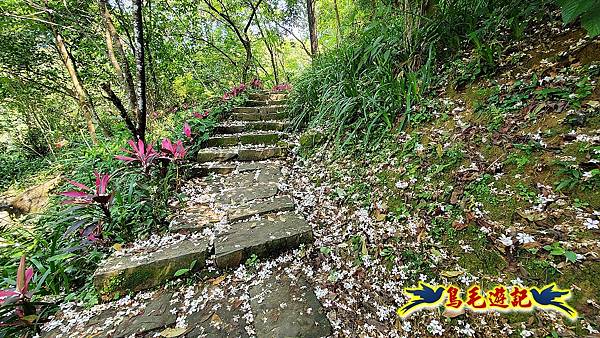 汐止內溝山步道(內溝山-油桐嶺-內溝山北峰-老鷲尖山-老鷲尖山南峰-翠湖O形) (2).jpg 汐止內溝山步道(內溝山-油桐嶺-內溝山北峰-老鷲尖山-老鷲尖山南峰-翠湖O形) (2).jpg