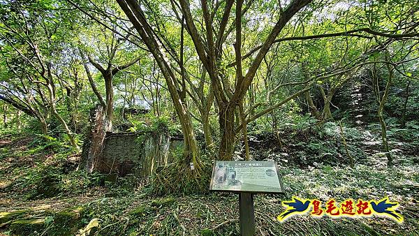 汐止內溝山步道(內溝山-油桐嶺-內溝山北峰-老鷲尖山-老鷲尖山南峰-翠湖O形) (5).jpg