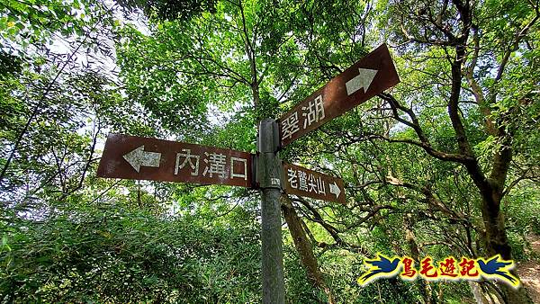 汐止內溝山步道(內溝山-油桐嶺-內溝山北峰-老鷲尖山-老鷲尖山南峰-翠湖O形) (10).jpg 汐止內溝山步道(內溝山-油桐嶺-內溝山北峰-老鷲尖山-老鷲尖山南峰-翠湖O形) (10).jpg