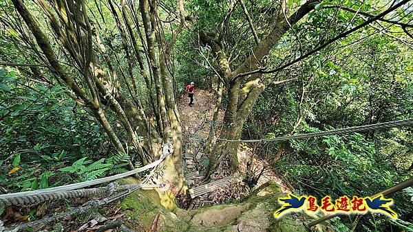 汐止內溝山步道(內溝山-油桐嶺-內溝山北峰-老鷲尖山-老鷲尖山南峰-翠湖O形) (9).jpg