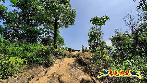 汐止內溝山步道(內溝山-油桐嶺-內溝山北峰-老鷲尖山-老鷲尖山南峰-翠湖O形) (8).jpg 汐止內溝山步道(內溝山-油桐嶺-內溝山北峰-老鷲尖山-老鷲尖山南峰-翠湖O形) (8).jpg