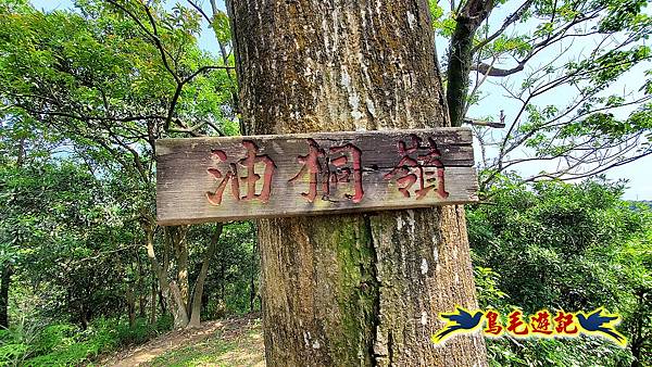 汐止內溝山步道(內溝山-油桐嶺-內溝山北峰-老鷲尖山-老鷲尖山南峰-翠湖O形) (12).jpg 汐止內溝山步道(內溝山-油桐嶺-內溝山北峰-老鷲尖山-老鷲尖山南峰-翠湖O形) (12).jpg