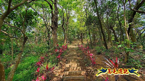 汐止內溝山步道(內溝山-油桐嶺-內溝山北峰-老鷲尖山-老鷲尖山南峰-翠湖O形) (16).jpg 汐止內溝山步道(內溝山-油桐嶺-內溝山北峰-老鷲尖山-老鷲尖山南峰-翠湖O形) (16).jpg