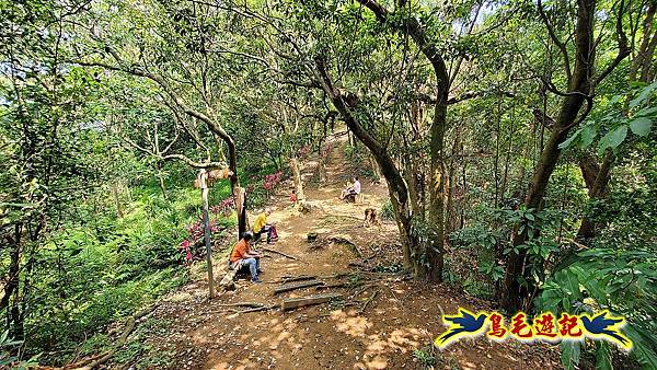 汐止內溝山步道(內溝山-油桐嶺-內溝山北峰-老鷲尖山-老鷲尖山南峰-翠湖O形) (15).jpg