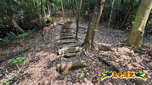 汐止內溝山步道(內溝山-油桐嶺-內溝山北峰-老鷲尖山-老鷲尖山南峰-翠湖O形) (18).jpg 汐止內溝山步道(內溝山-油桐嶺-內溝山北峰-老鷲尖山-老鷲尖山南峰-翠湖O形) (18).jpg