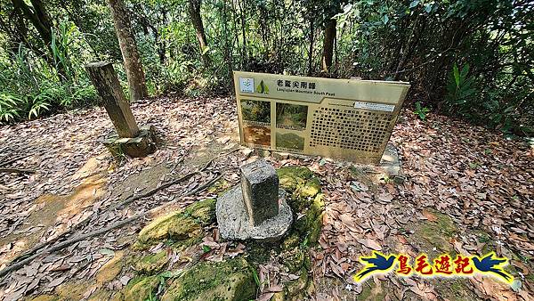 汐止內溝山步道(內溝山-油桐嶺-內溝山北峰-老鷲尖山-老鷲尖山南峰-翠湖O形) (23).jpg