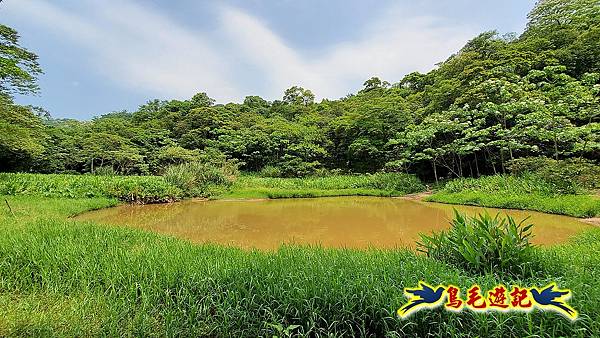 汐止內溝山步道(內溝山-油桐嶺-內溝山北峰-老鷲尖山-老鷲尖山南峰-翠湖O形) (30).jpg 汐止內溝山步道(內溝山-油桐嶺-內溝山北峰-老鷲尖山-老鷲尖山南峰-翠湖O形) (30).jpg