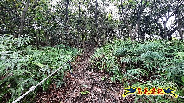 樹林大同山-尖棟山-青龍嶺-南寮福德宮 (10).jpg