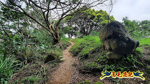 樹林大同山-尖棟山-青龍嶺-南寮福德宮 (18).jpg