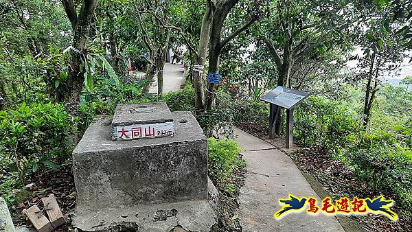 樹林大同山-尖棟山-青龍嶺-南寮福德宮 (27).jpg